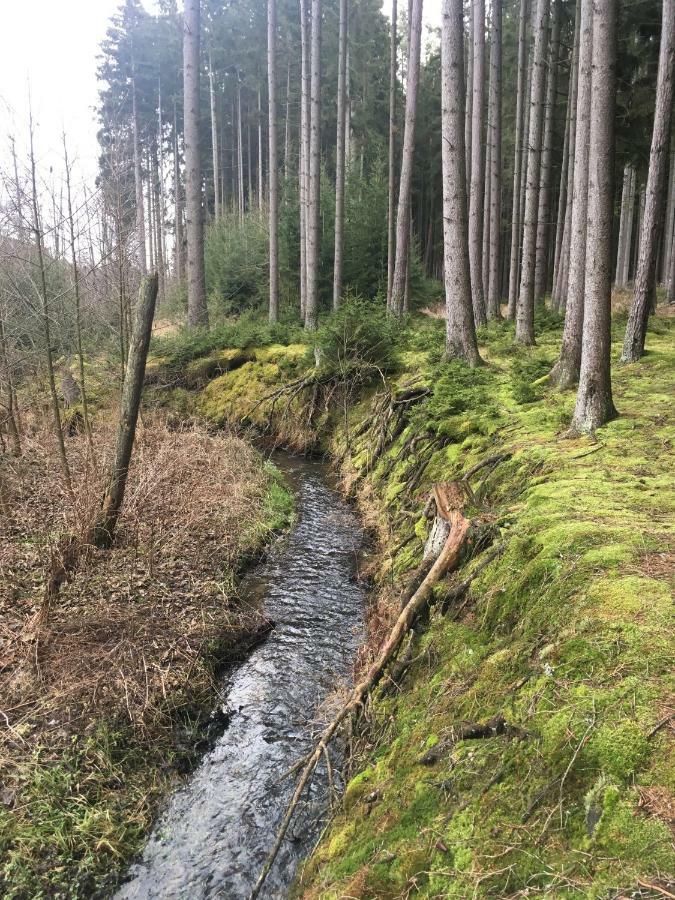 Nature Center Udoli Volavek Weseritz Buitenkant foto